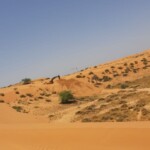 TECTON-PROJECTS-UTILITY-SERVICES-146W2019